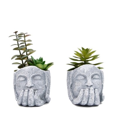 PLANTA CON MACETA BUDA 18CM