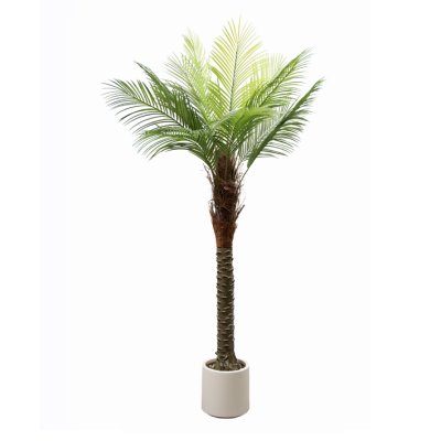 PLANTA CON MACETA 170CM