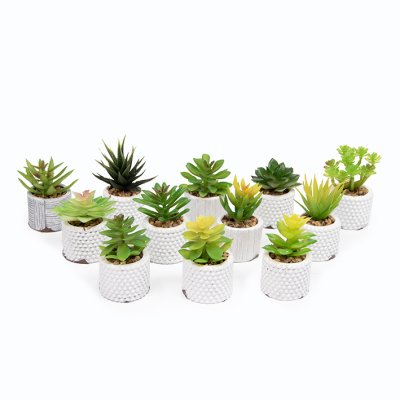 PLANTA CON MACETA 8CM